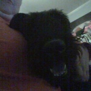 Meet your Posher, Vicki